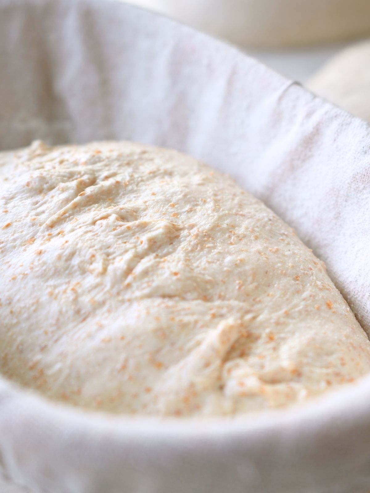 Dough proofing in a batard basket.