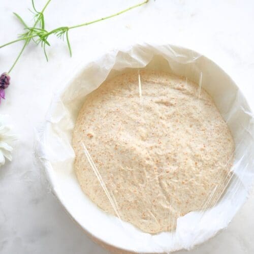 Sourdough dough in a bowl, prepped for freezing.