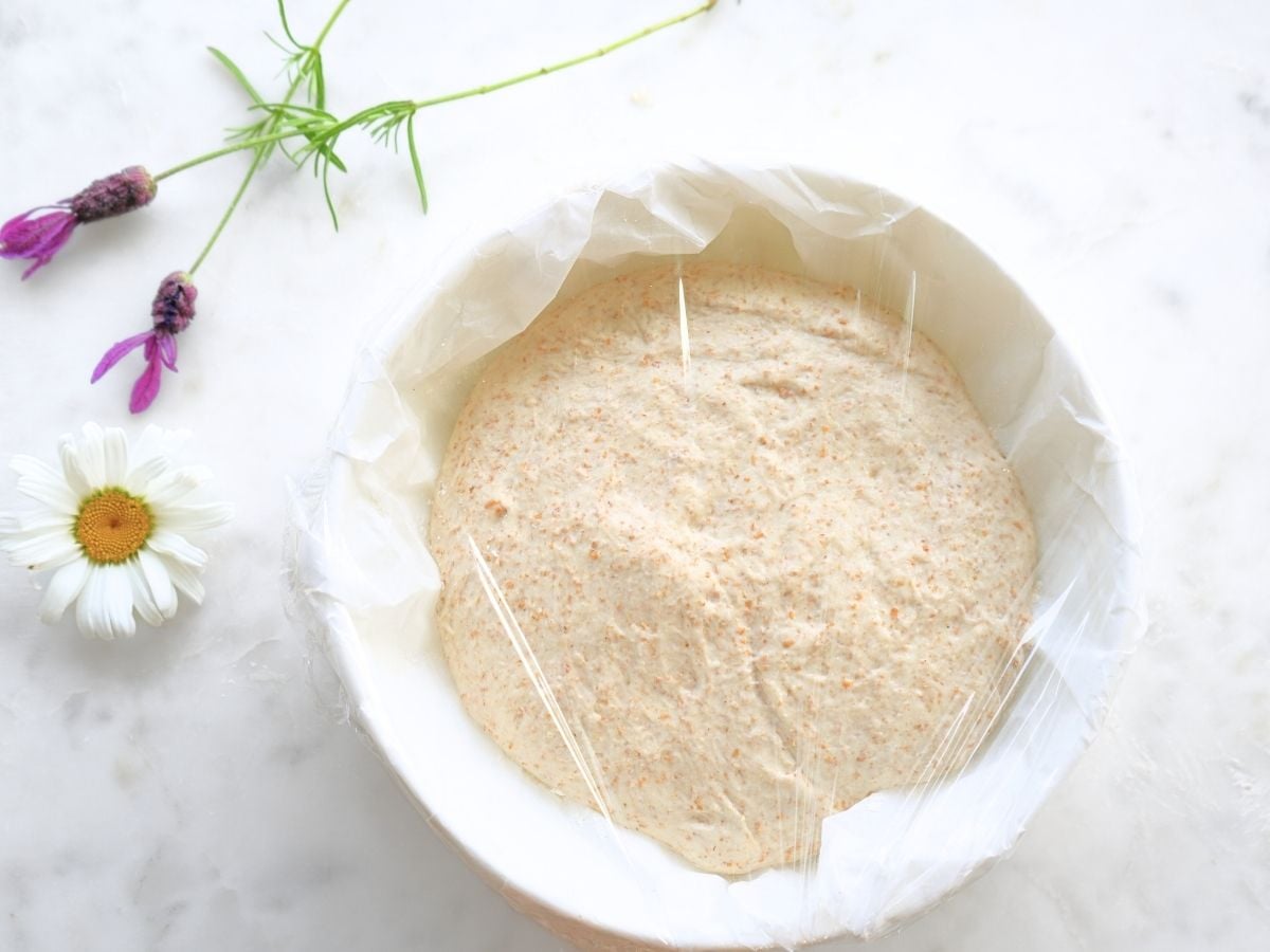 Sourdough dough in a bowl, prepped for freezing.