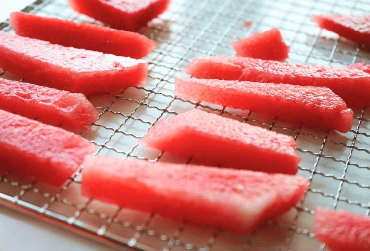 Fresh, sliced watermelon on dehydrator try