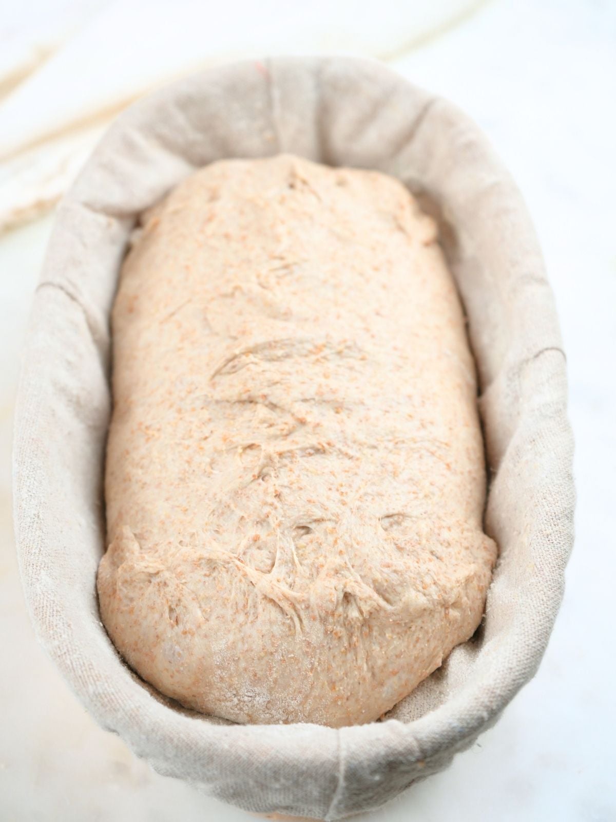 Shaped sourdough in a banneton.