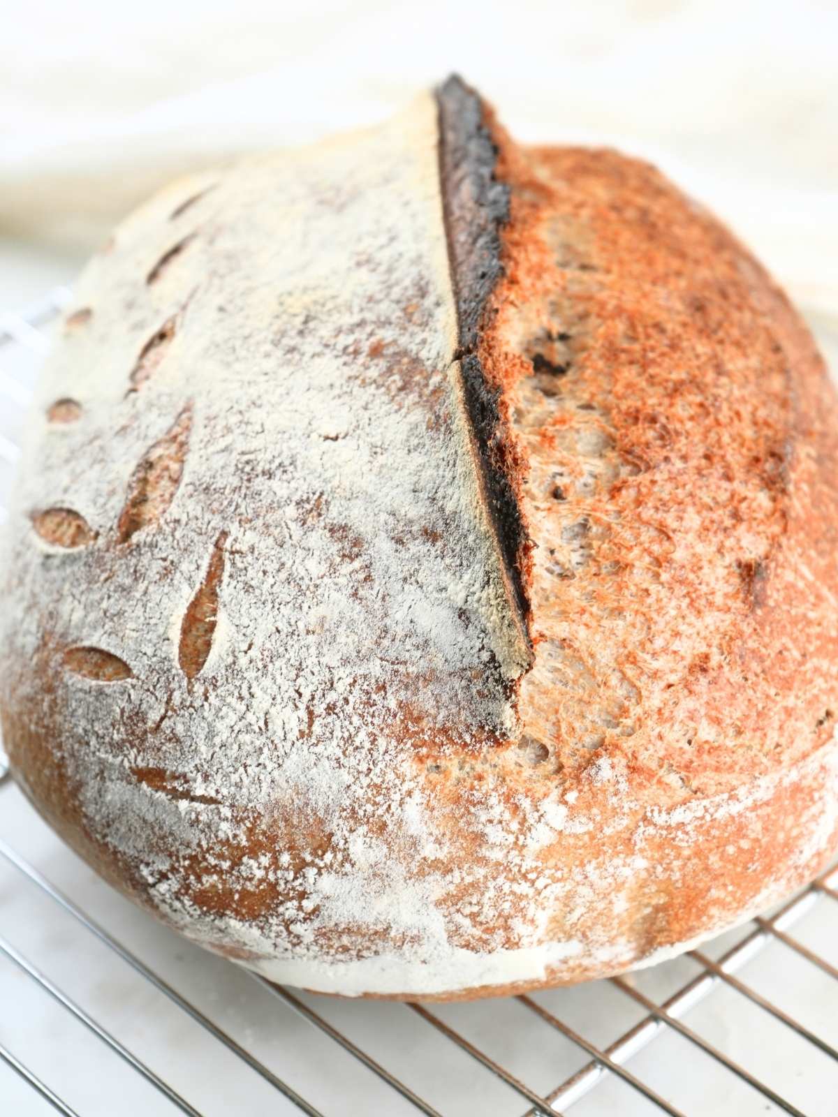 Baked sourdough bread on a cooling rack.