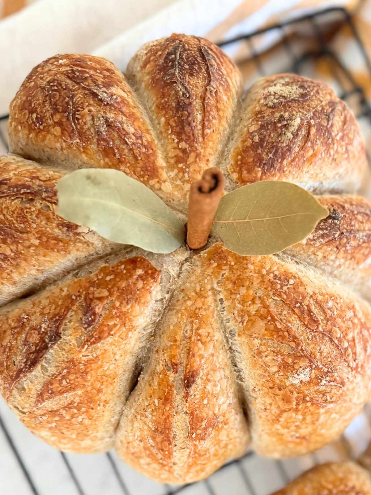 Pumpkin-shaped sourdough boule on a cooling rack.