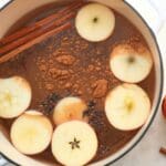 Fall simmer pot ingredients in a large pot.