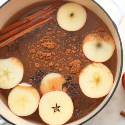 Fall simmer pot ingredients in a large pot.