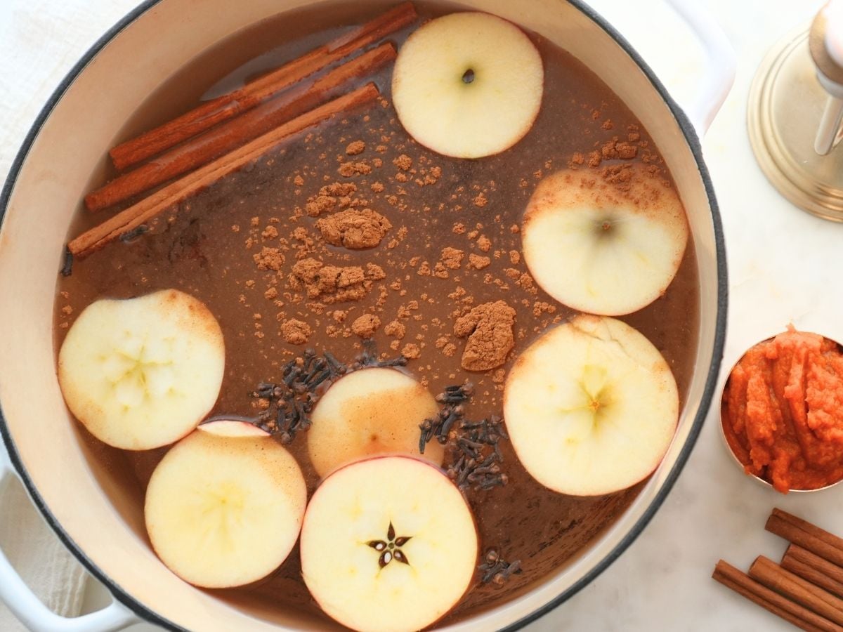 Fall simmer pot ingredients in a large pot.