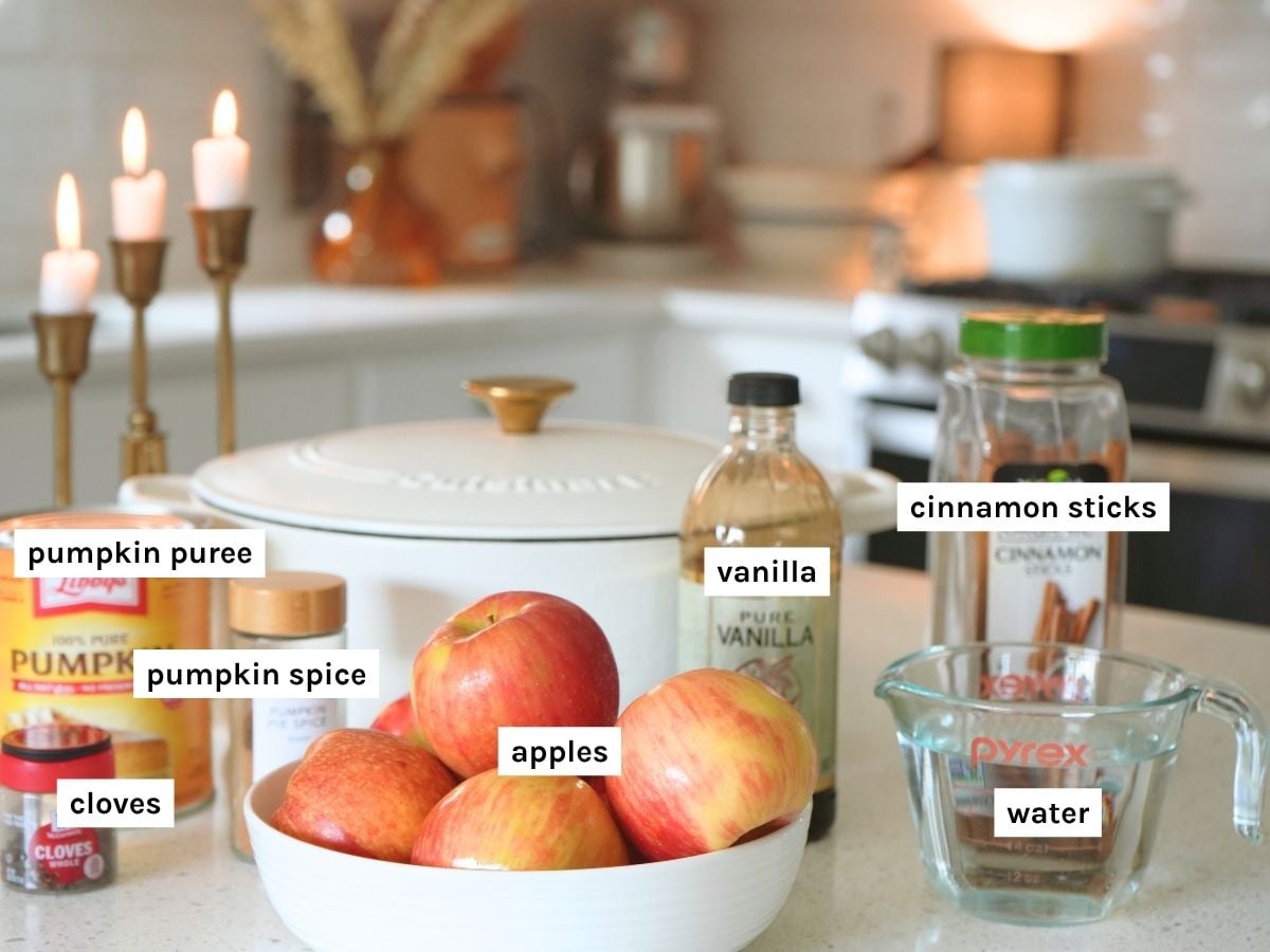 Fall simmer pot ingredients displayed and labeled.