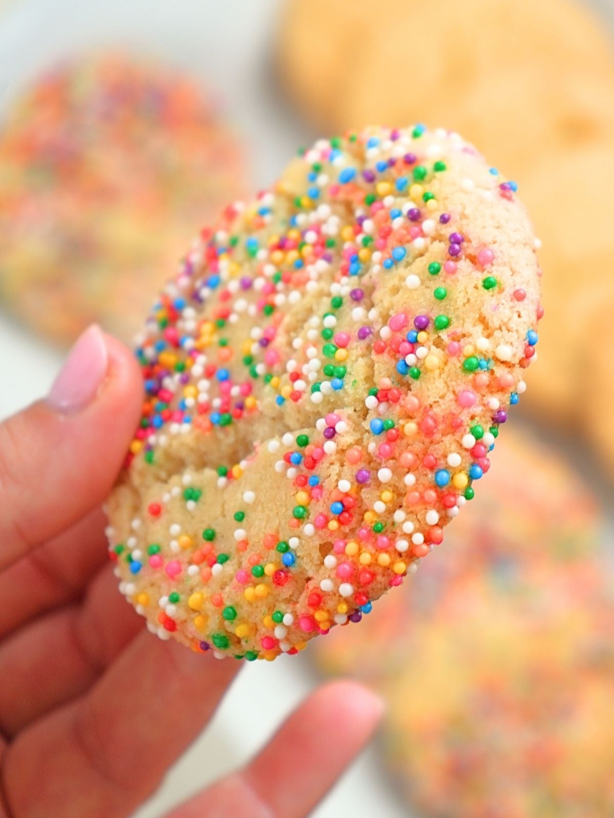 A hand holding a sugar cookie with sprinkles.