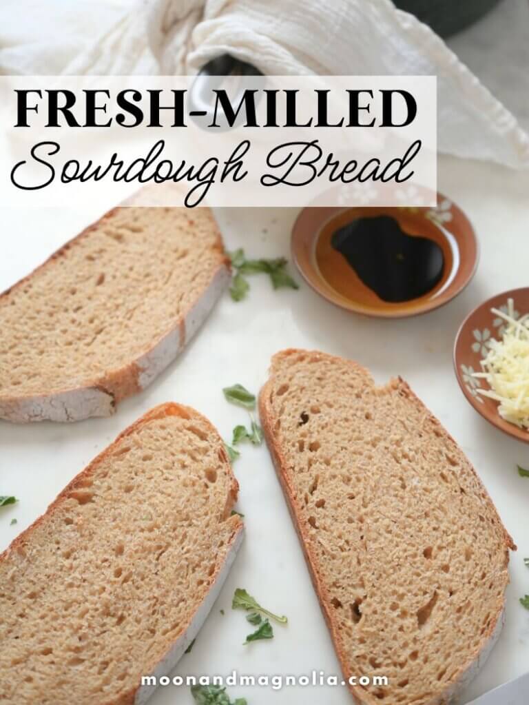 Same Day Sourdough With Fresh Milled Flour 100 Whole Grain Moon