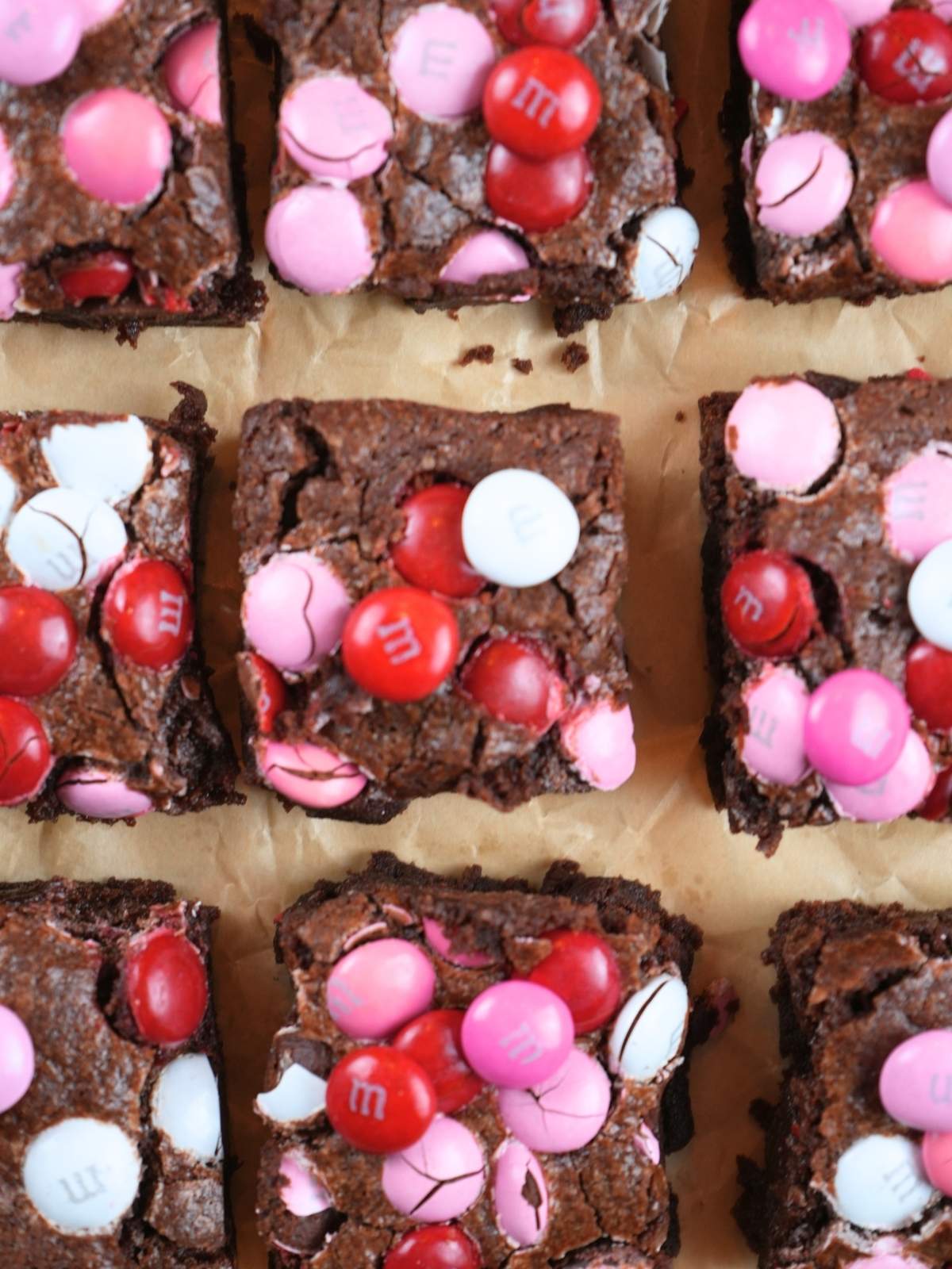 Squares of sourdough brownies on parchment paper.