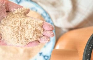 Close-up of freshly milled flour in a hand, with a grain mill and bowl of flour in the background