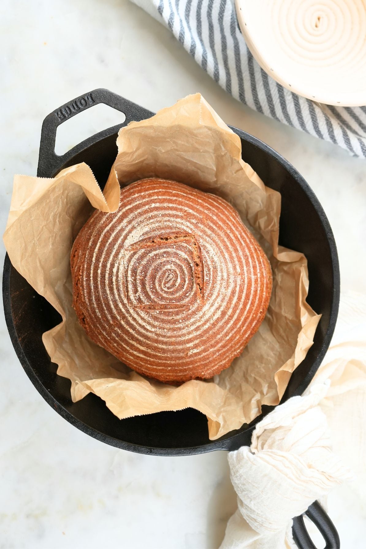 Freshly baked einkorn sourdough bread in a Dutch oven lined with parchment paper.