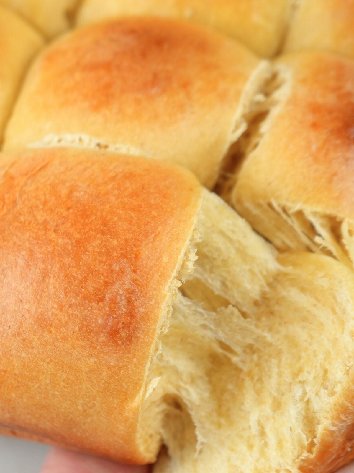 Sourdough brioche rolls being pulled apart.