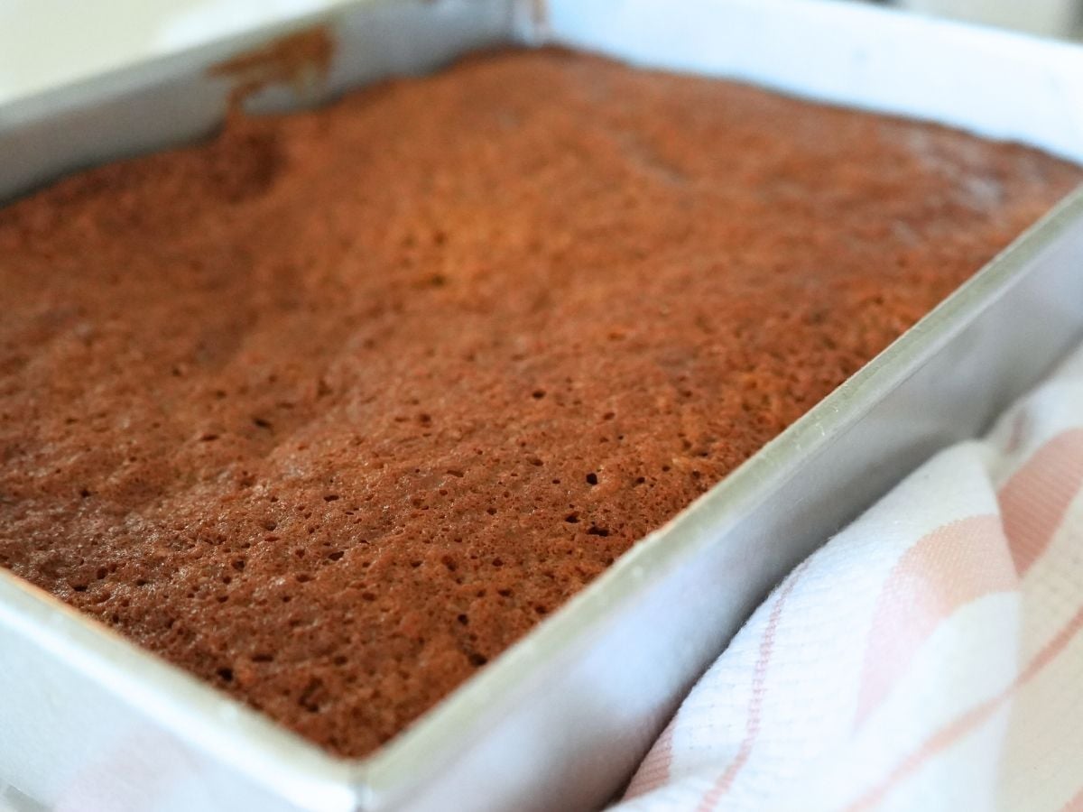 Unfrosted cake in a cake pan.