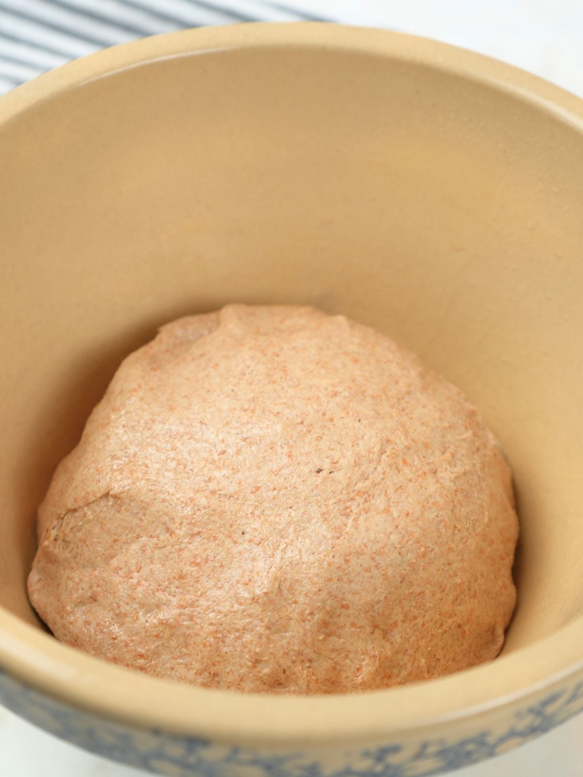 Dough bulk fermenting in a mixing bowl.