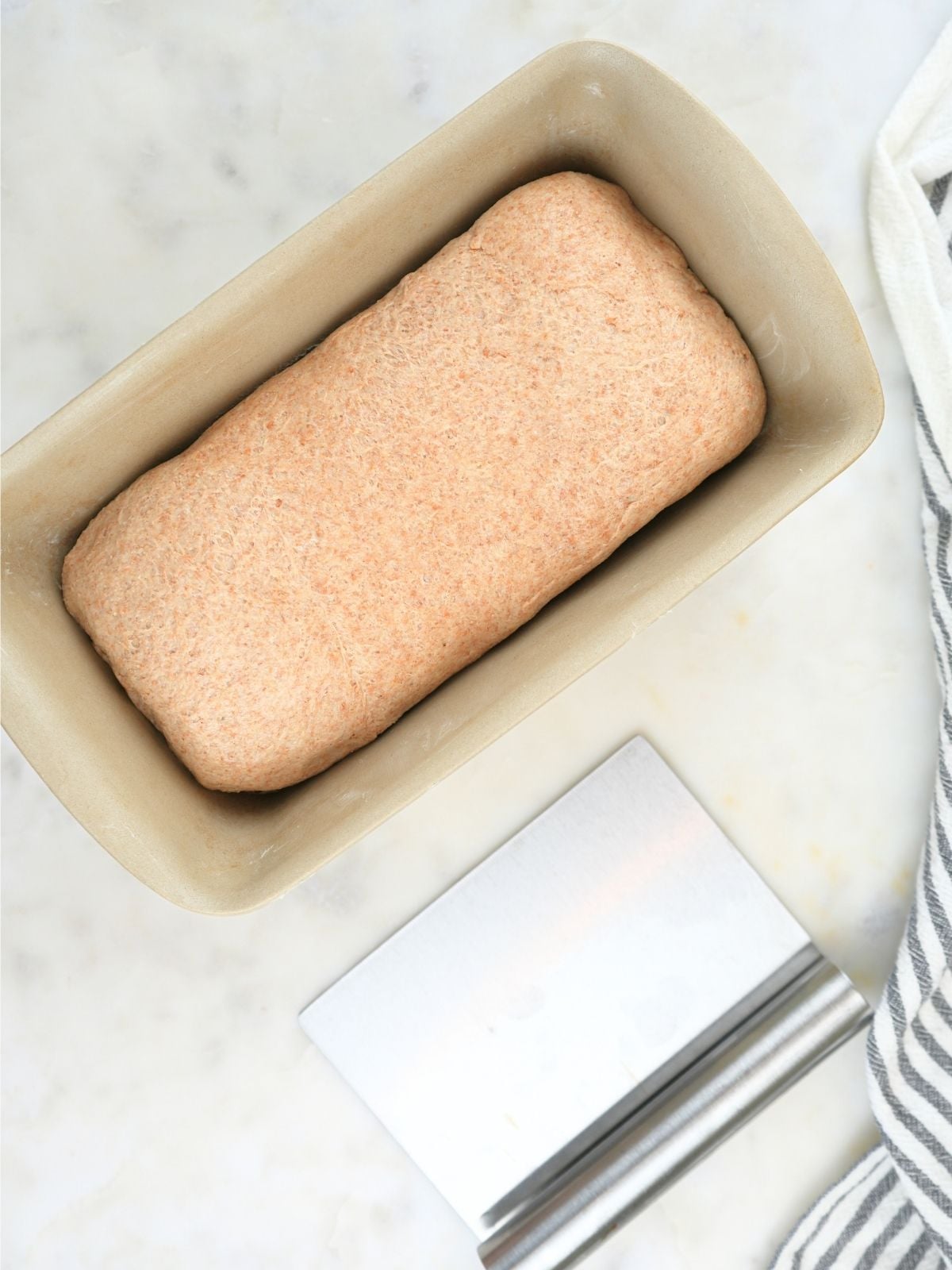 Sandwich bread dough in a loaf pan and a bench scraper on a counter.