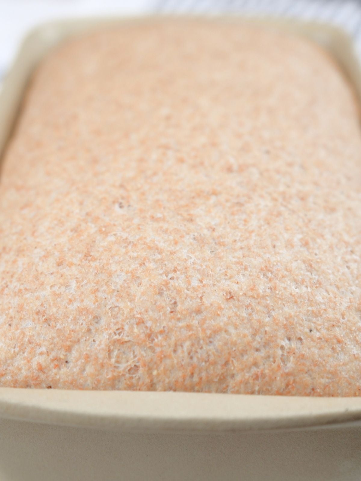 Puffy dough in a loaf pan after it has proofed.