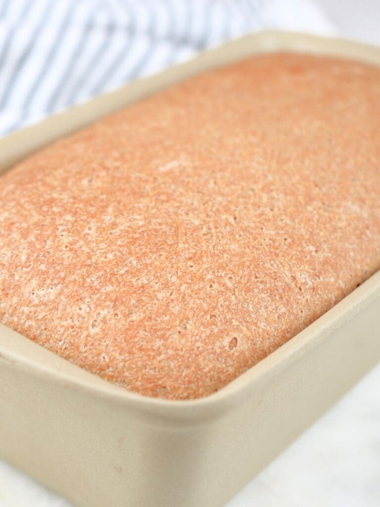 Baked fresh-milled sourdough sandwich bread in a loaf pan
