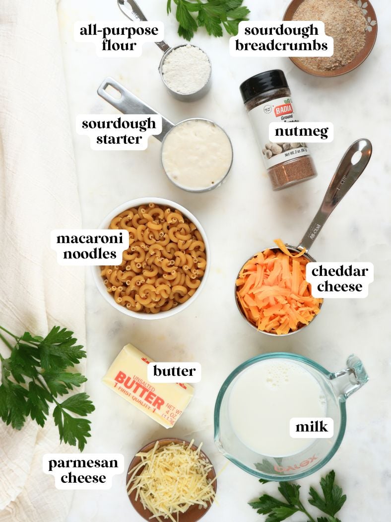 Sourdough mac and cheese ingredients displayed and labeled: all-purpose flour, breadcrumbs, sourdough starter, nutmeg, macaroni, cheddar cheese, butter, milk, parmesan