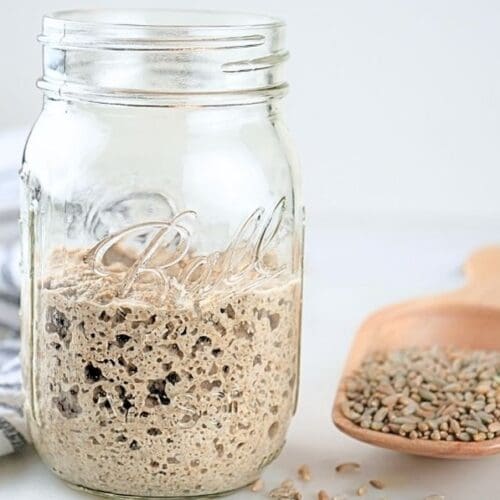 A jar of bubbly fresh-milled flour sourdough starter and a wood scoop of rye berries