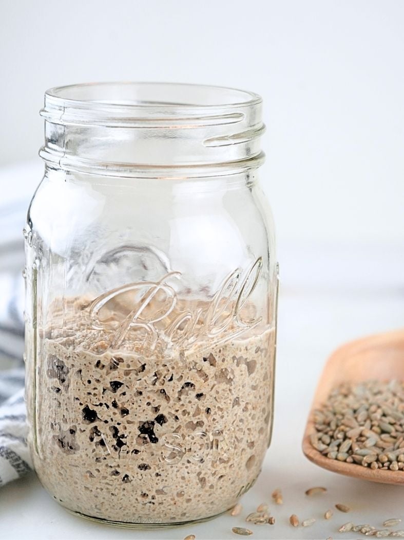 A jar of bubbly fresh-milled sourdough starter