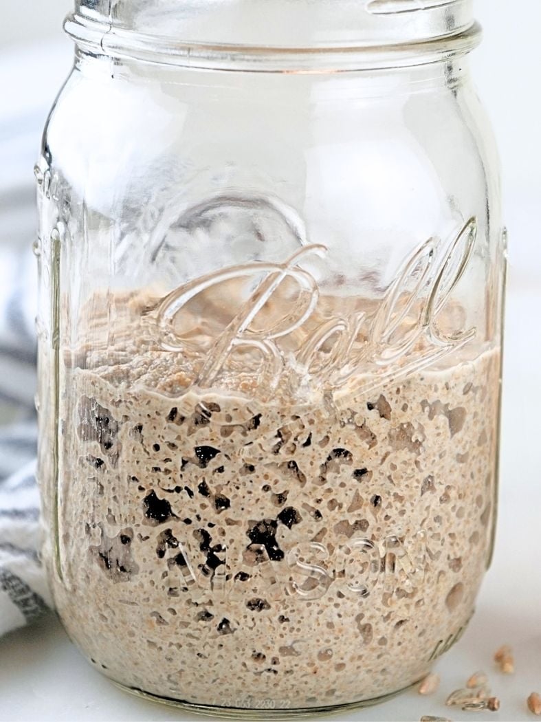 Close up of a jar of bubbly sourdough starter made with fresh milled flour