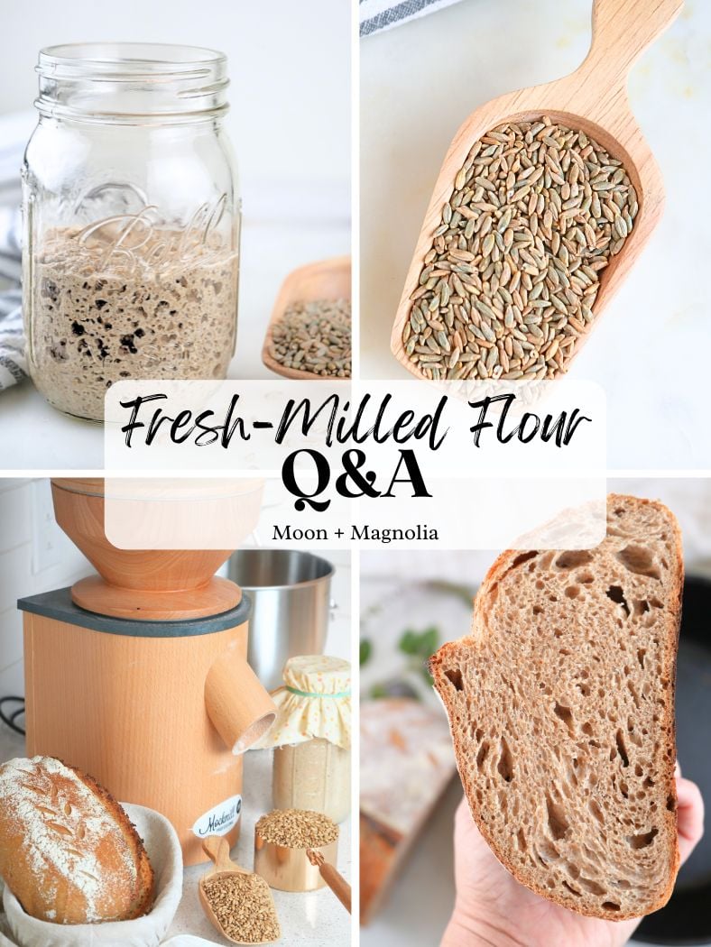 A collage of images: sourdough starter, wheat berries in scoop, a grain mill, and fresh bread. Text overlay "Fresh-Milled Flour Q&A"