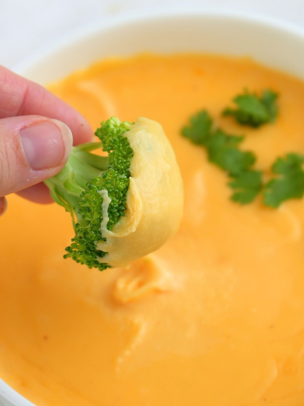 A hand dipping broccoli in a bowl of sourdough discard cheese sauce.