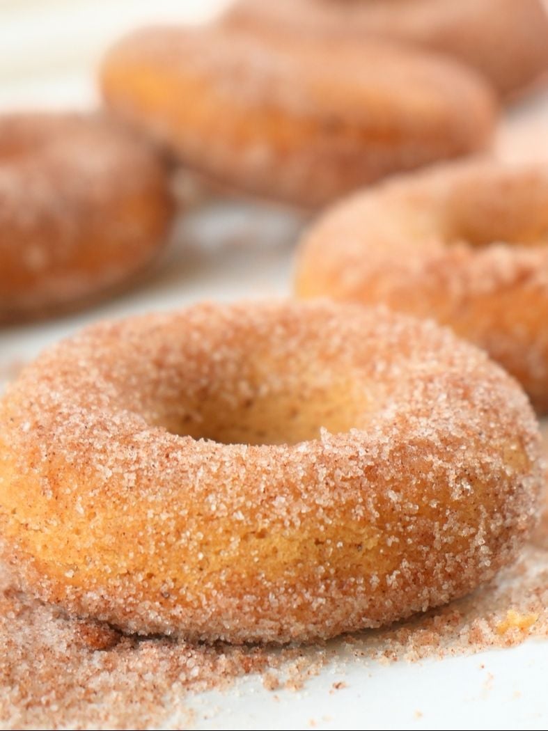A close up of a sourdough apple cider donut with cinnamon and sugar on the table