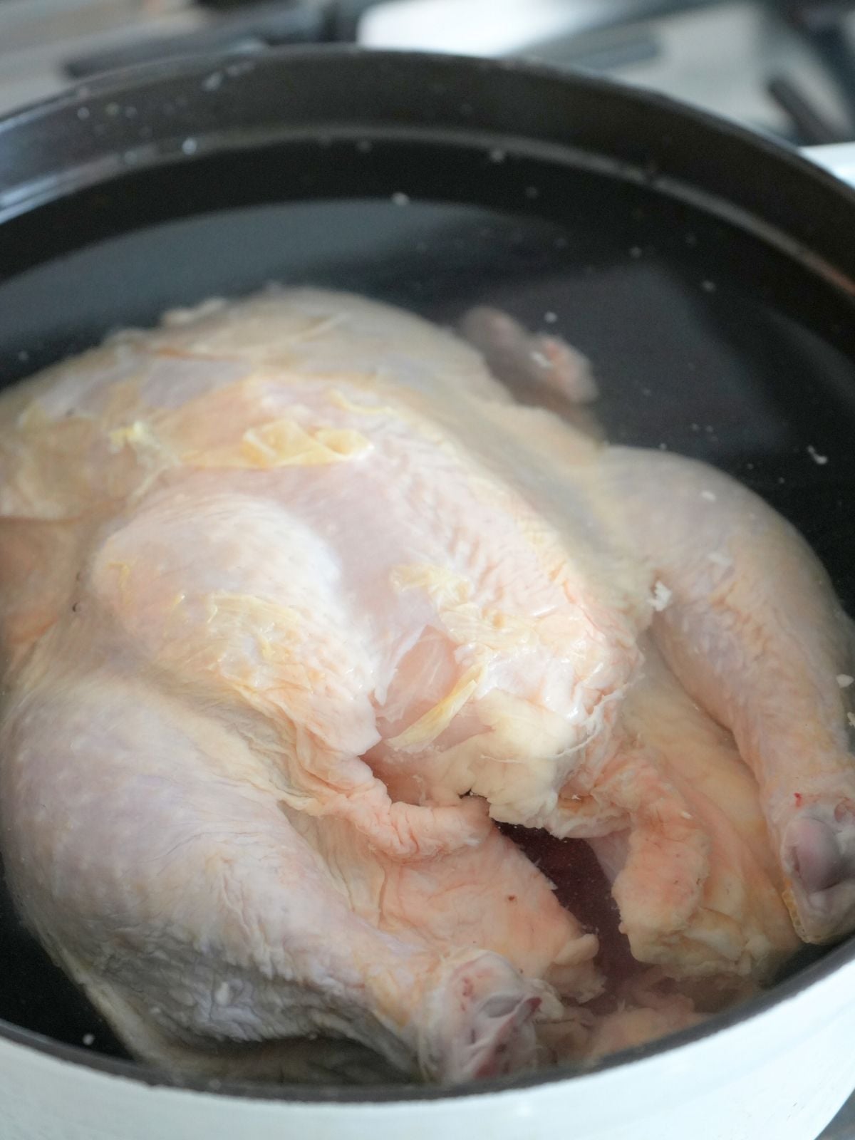 A whole chicken in a Dutch oven, covered with water