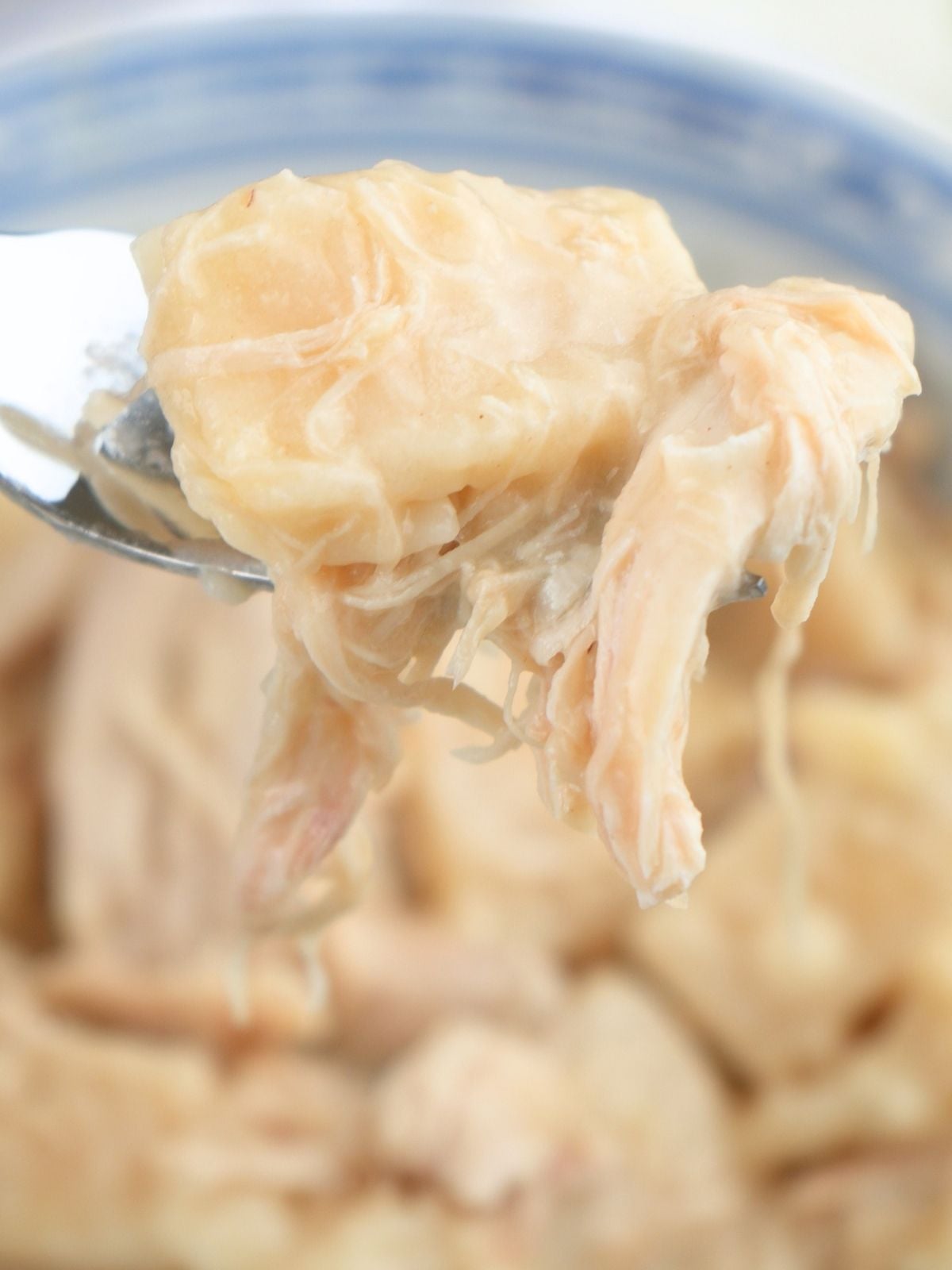 A forkful of chicken and pastry.
