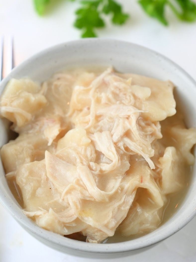 Overhead view of a small bowl of chicken and pastry