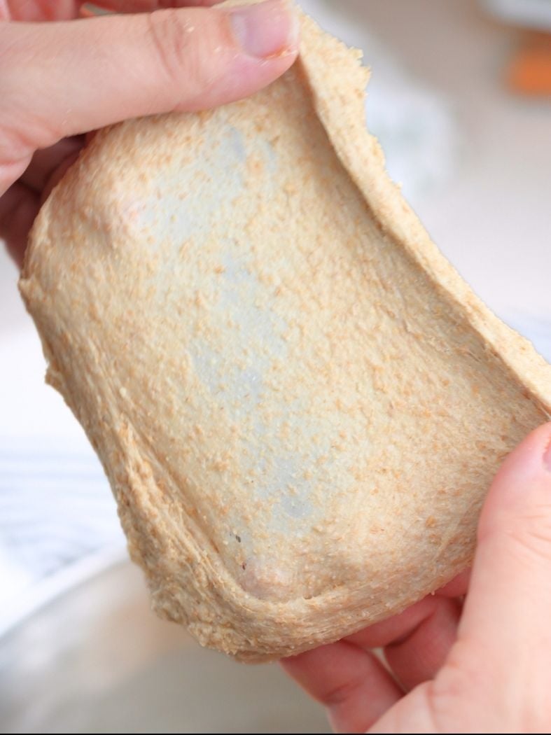 Hands stretching dough to show the windowpane test with fresh-milled flour dough