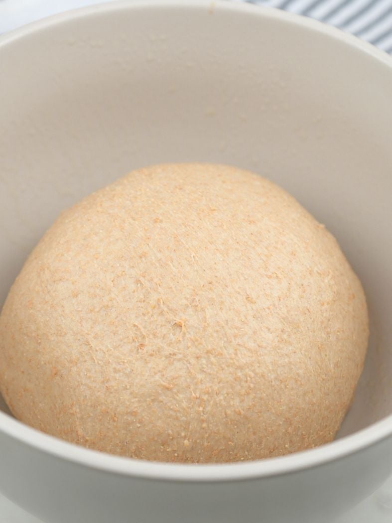 A dough ball in a oiled mixing bowl