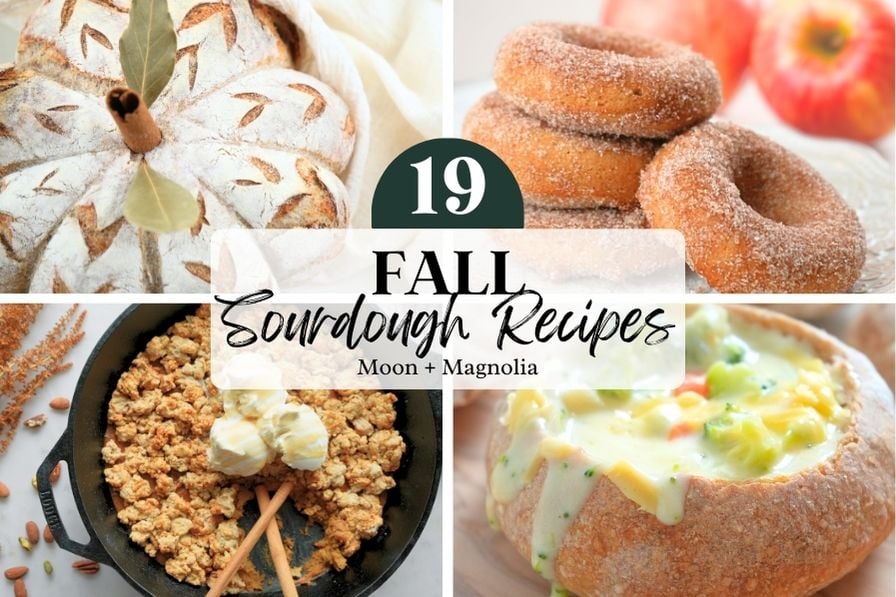A sourdough pumpkin, donuts, cobbler, and bread bowl with text overlay, "19 Fall Sourdough Recipes"