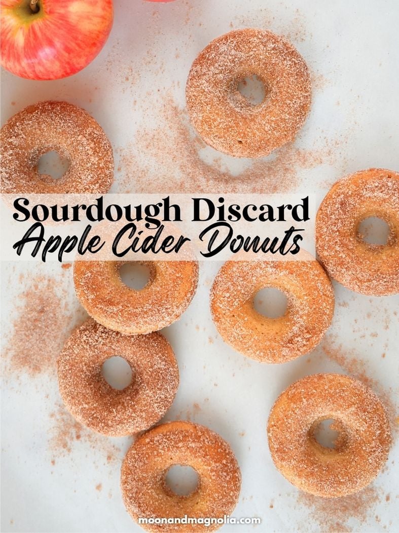 Donuts scattered on a counter with cinnamon and sugar. Text overlay says, "Sourdough Discard Apple Cider Donuts"