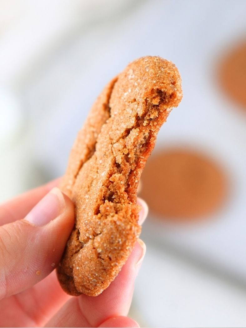 A hand holding a sourdough ginger molasses cookie with a bite taken out of it