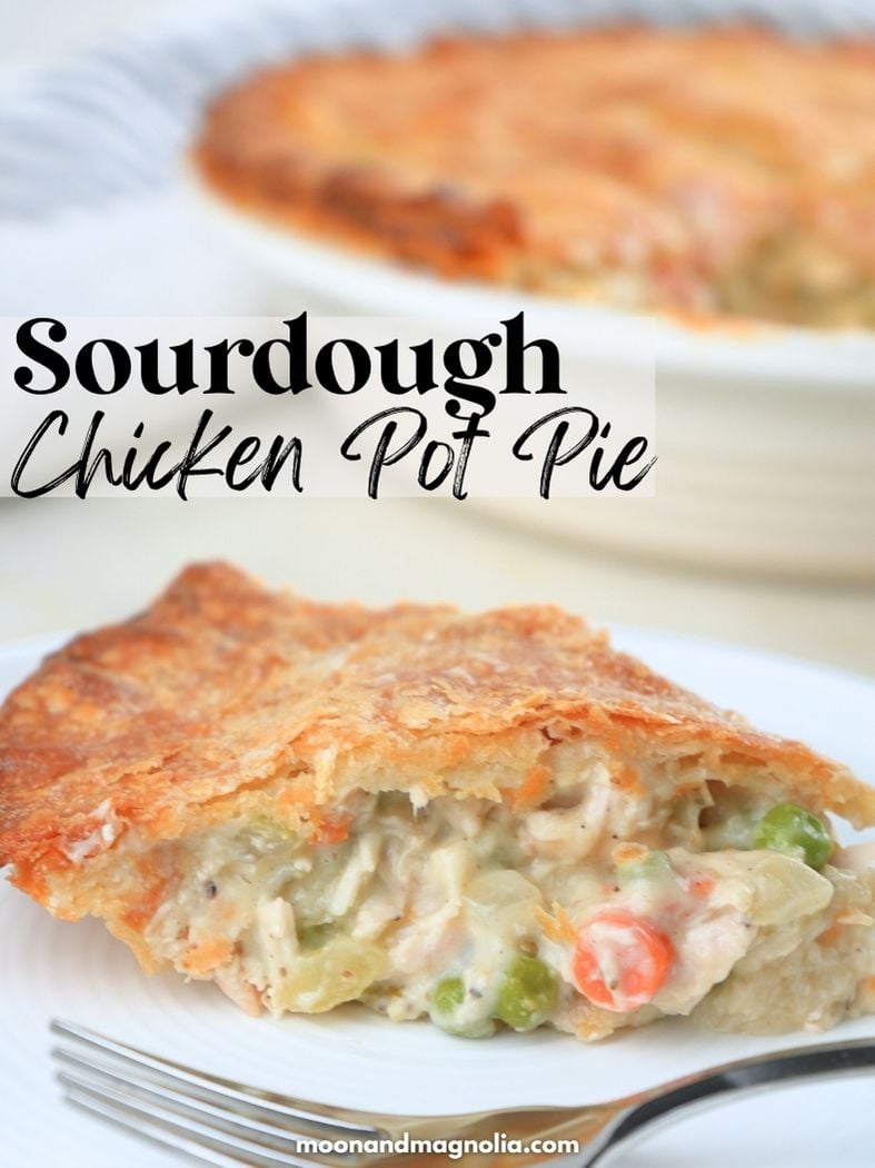 A Pinterest graphic with a slice of pot pie on a plate and whole pie in the background. Text overlay says, "Sourdough Chicken Pot Pie"