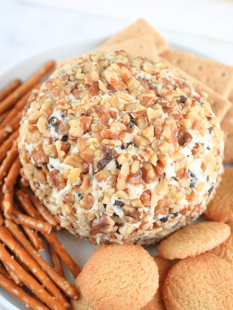 Finished dessert on a plate of pretzels, graham crackers, and vanilla wafers