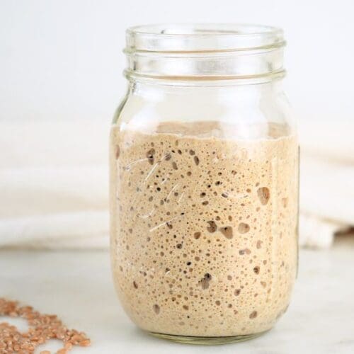 A mason jar with active einkorn sourdough starter, shown with einkorn wheat berries