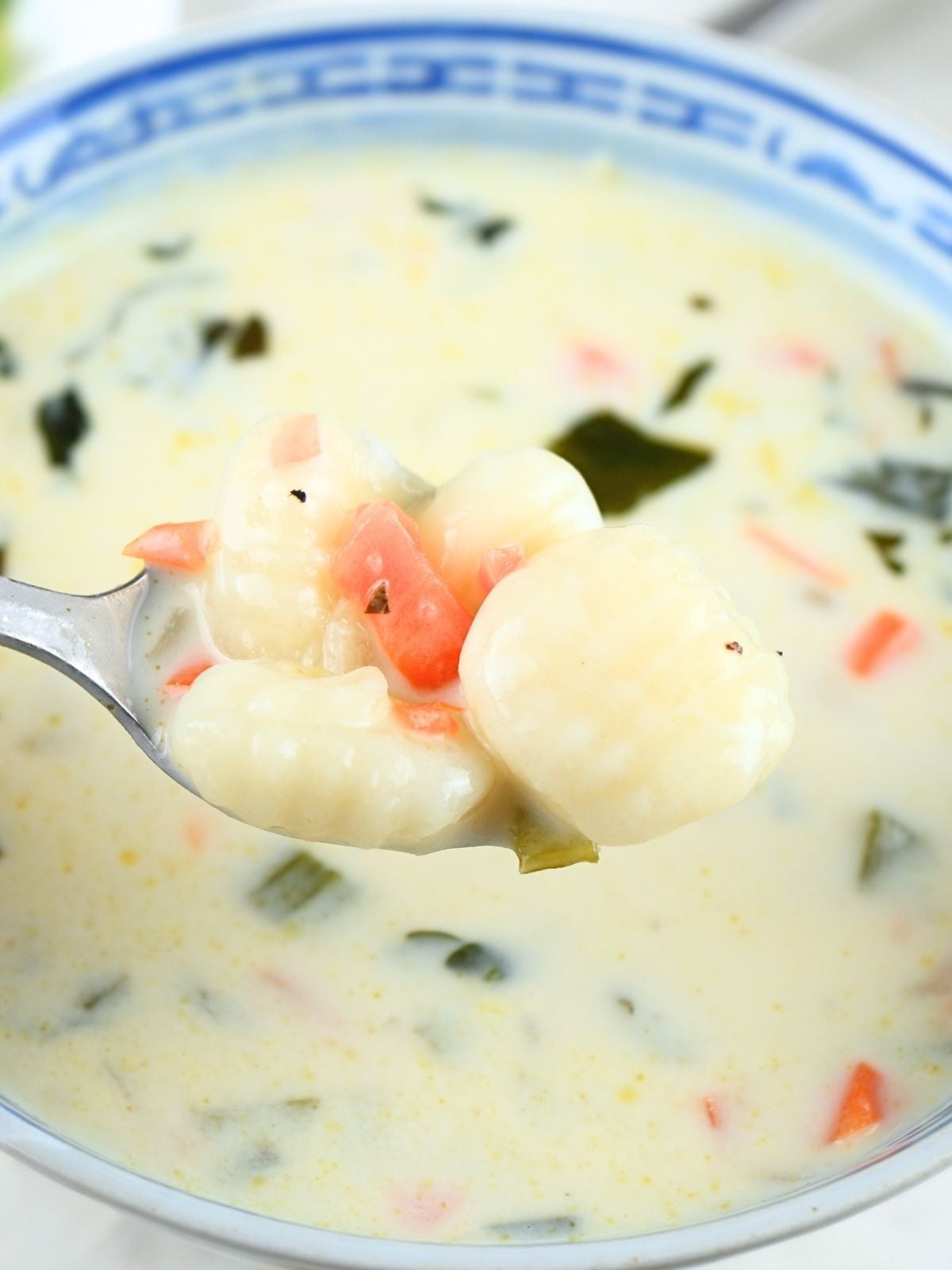 A spoonful of creamy gnocchi soup over a bowl.