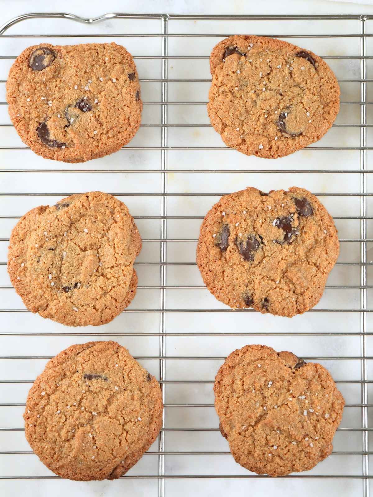 Fresh-milled chocolate chip cookies on a wire rack.