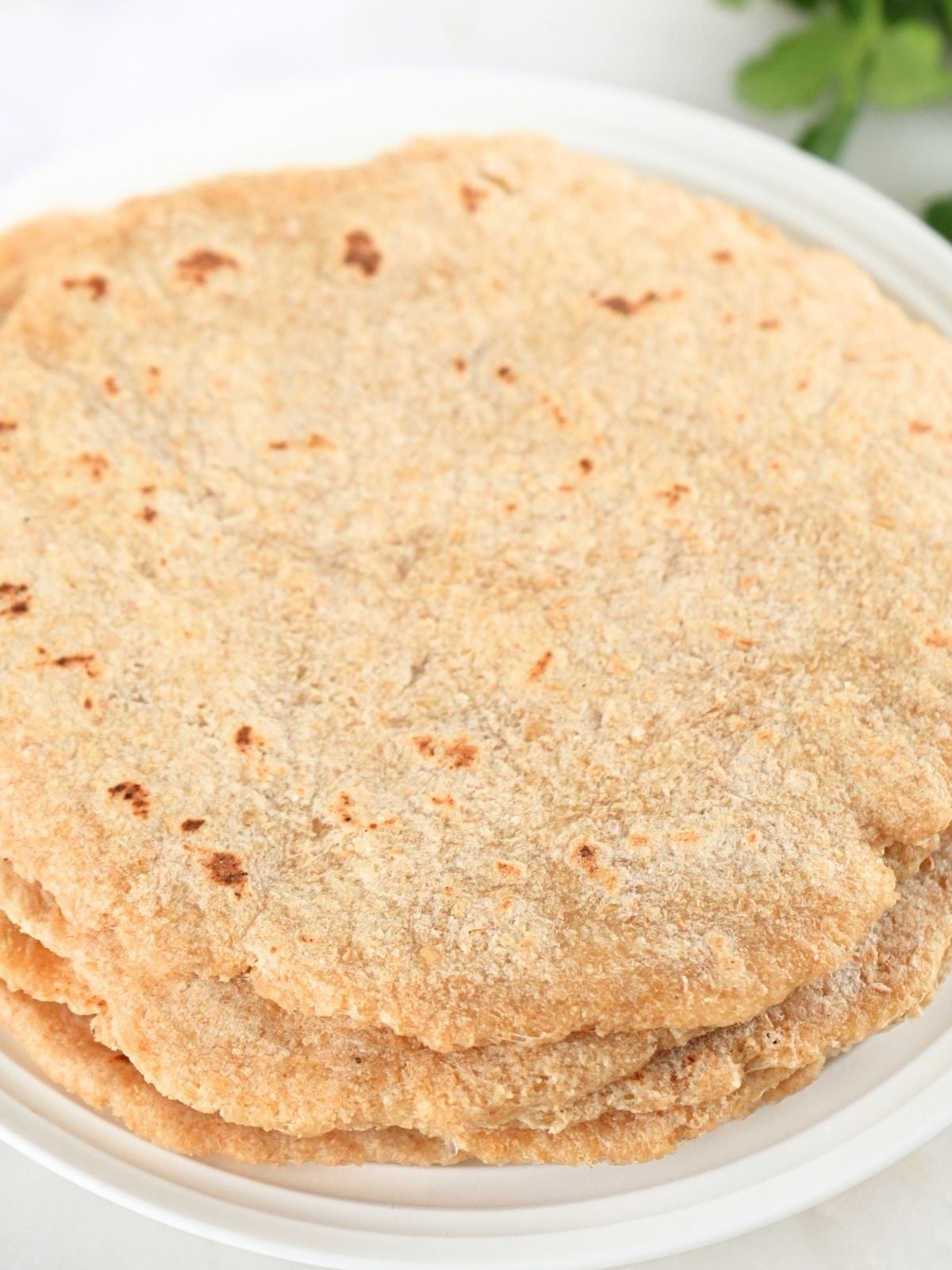 A stack of fresh-milled tortillas on a plate.