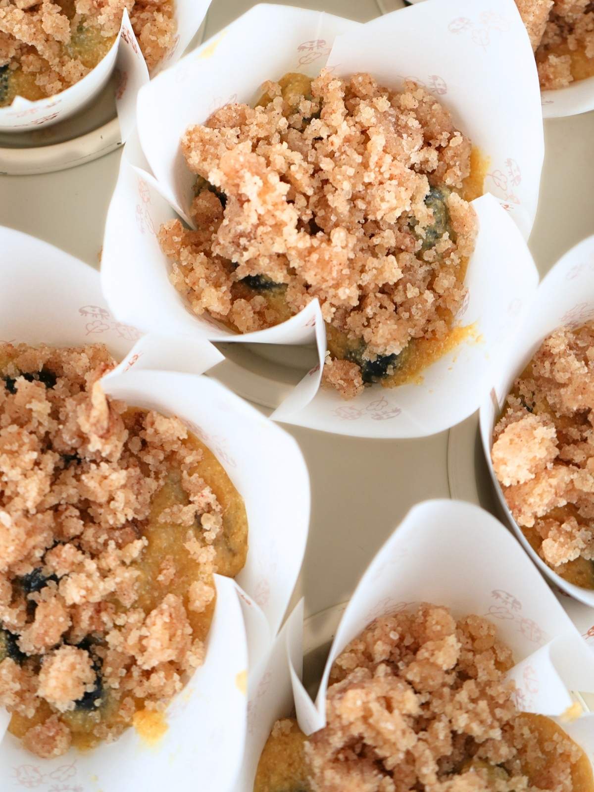 Unbaked fresh-milled blueberry muffins with crumble topping in a muffin tin.