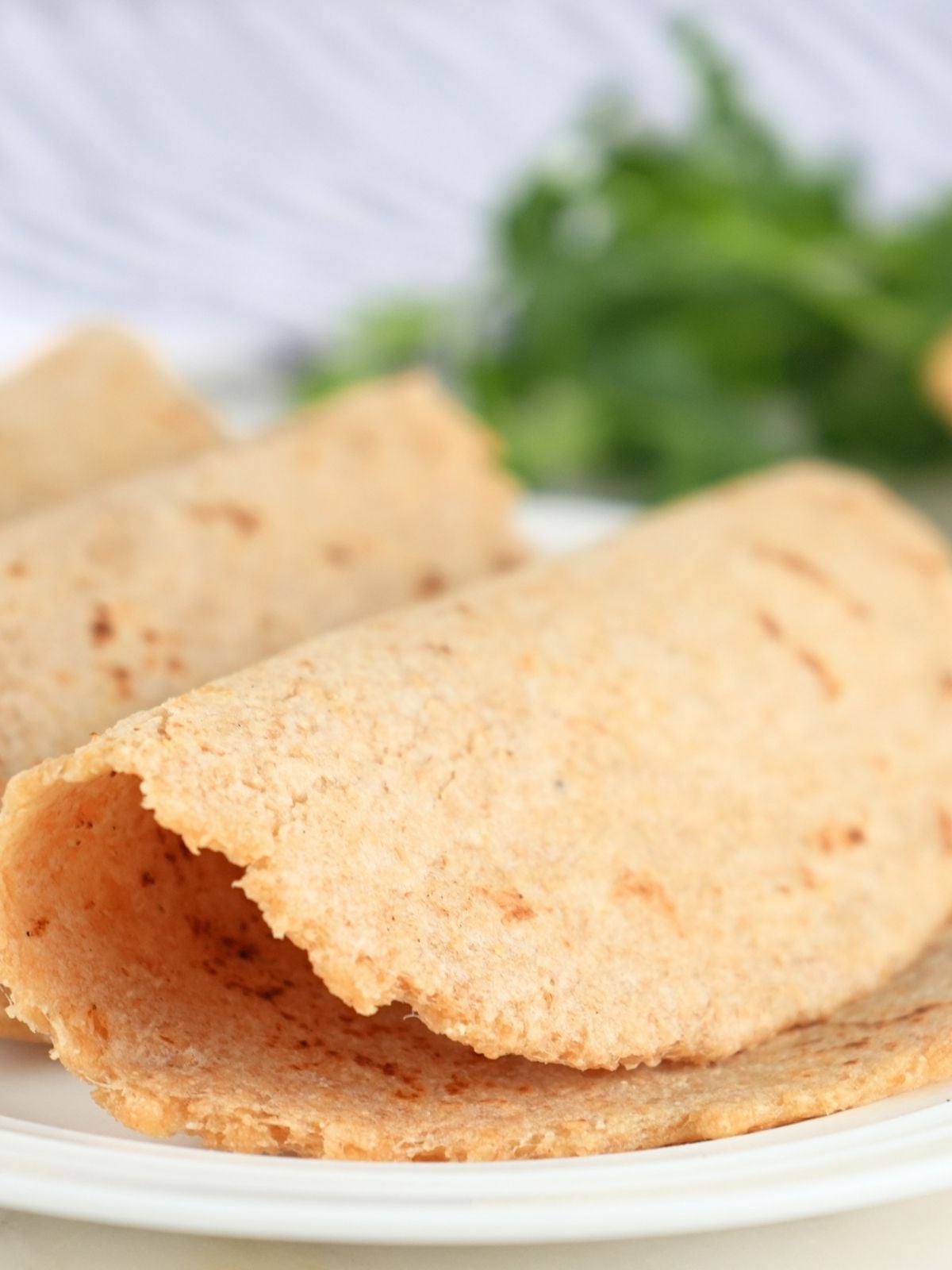 Fresh-milled tortillas folded in half on a plate.
