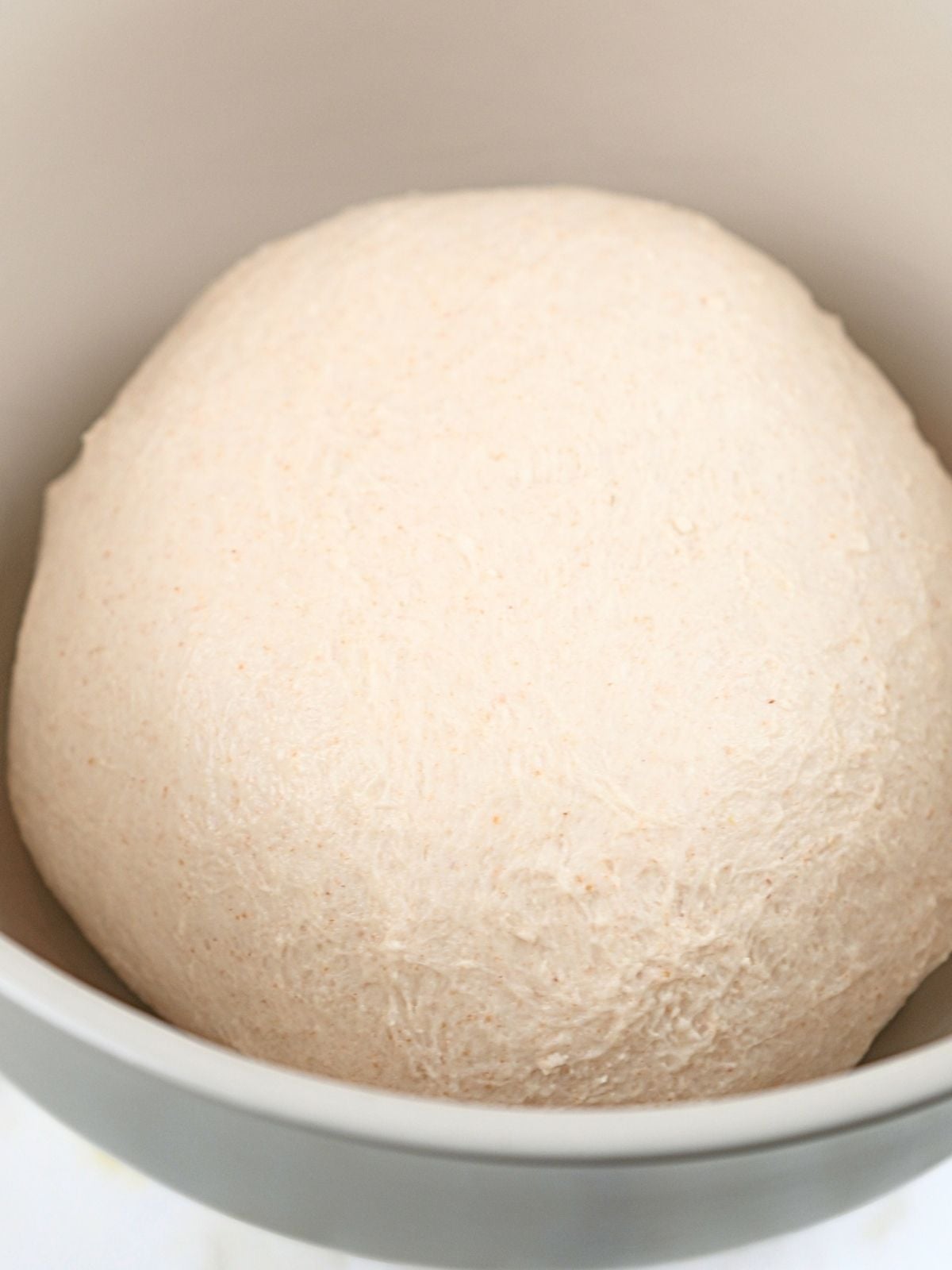 Sourdough baguette dough in a bowl.