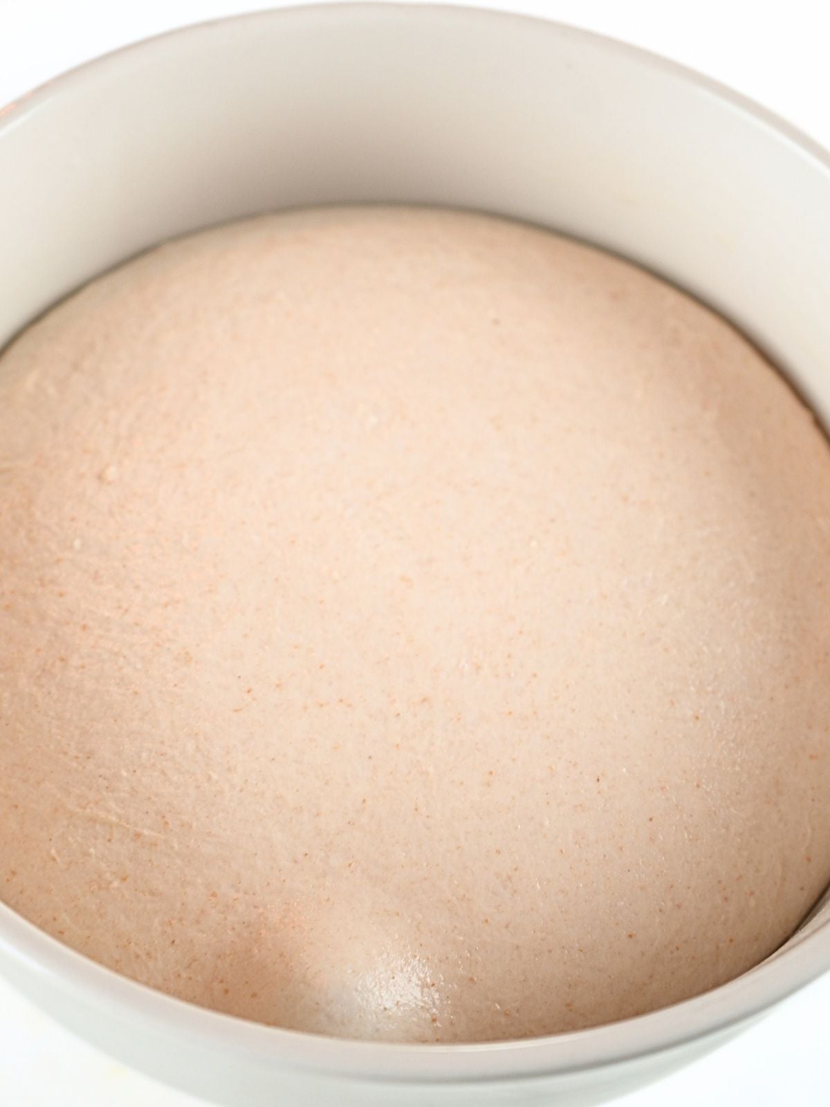 Fermented sourdough baguette dough in a bowl.