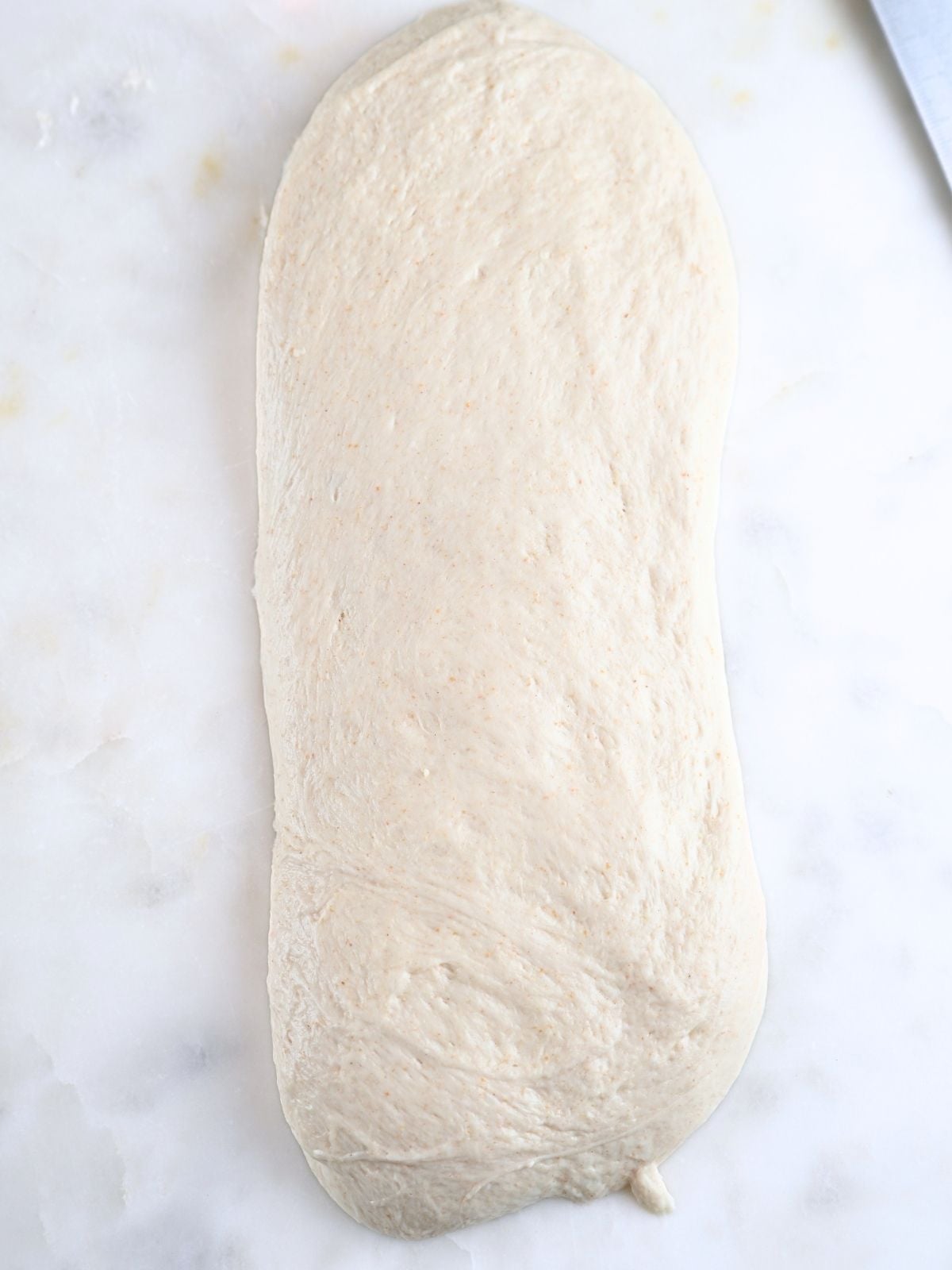 Dough pressed into a rectangle.