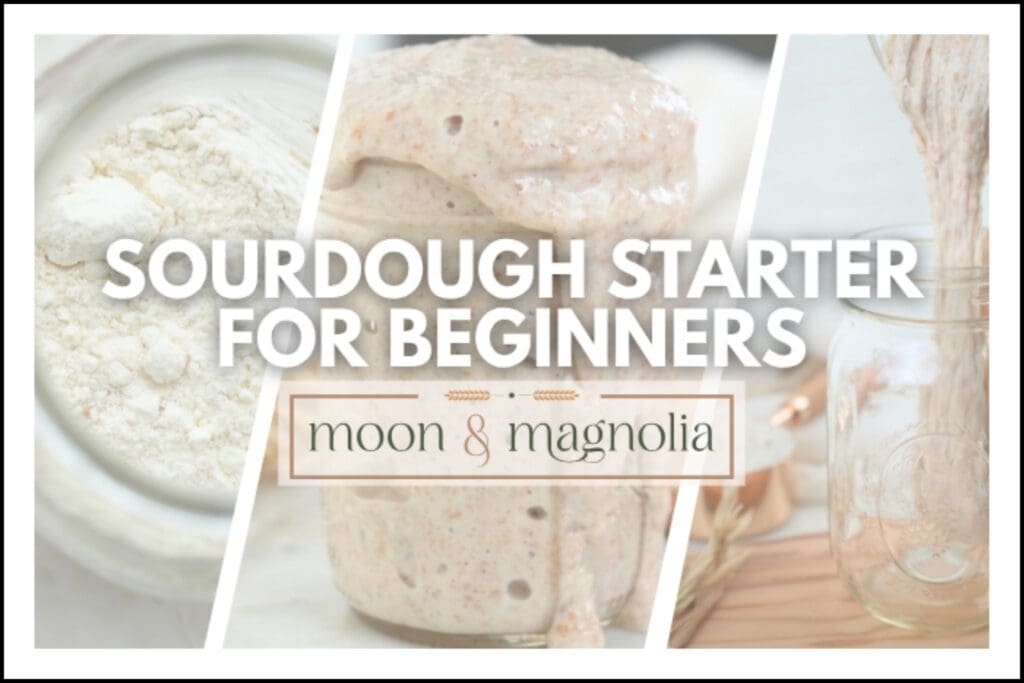 Sourdough starter in various stages.