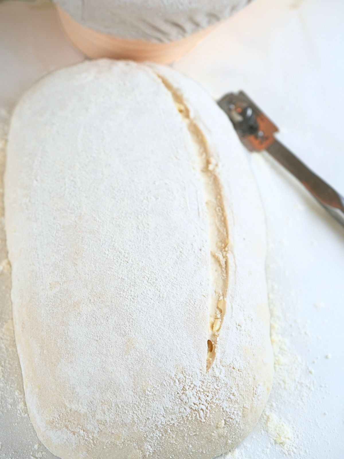Scored sourdough croissant bread dough.